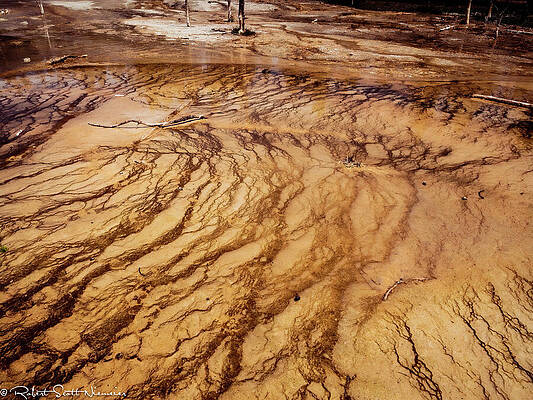 Wall Art featuring the photograph Wyoming - Yellowstone - Mud by Robert Niemeier