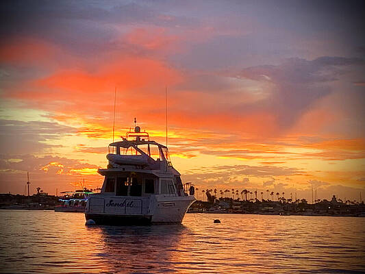 Wall Art featuring the photograph Yacht And Sunset In Newport Harbor by Bonnie Colgan