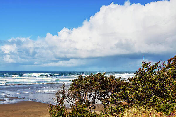 Wall Art featuring the photograph Yaquina Bay Beach At Springtime - Oregon by Tatiana Travelways