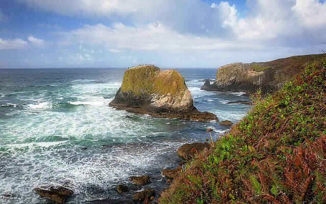 Rocky Seaside Landscape with Blue Skies Wall Art