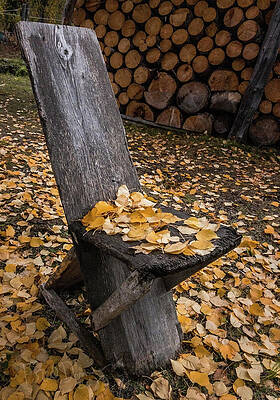 Wall Art featuring the photograph Yard Furniture by Fred Denner