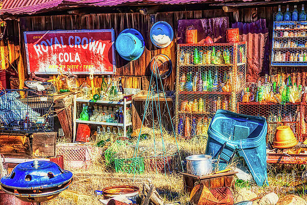 Wall Art featuring the photograph Yard Junk Art Chloride, Arizona by Tatiana Travelways