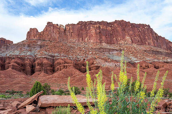 Utah Wall Art featuring the photograph Yellow And Red, Oh My by Diane Moller
