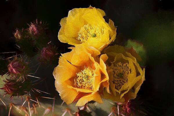 Vibrant Wall Art featuring the mixed media Yellow Cactus Flowers by Tatiana Travelways