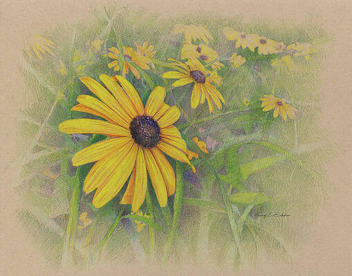 Yellow Daisy by Terry Edeker