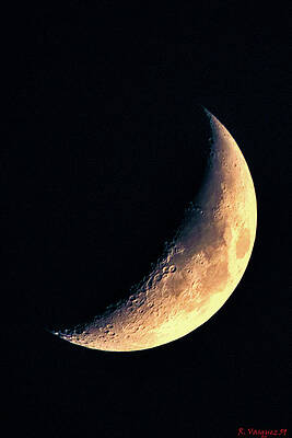Sky Wall Art featuring the photograph Yellow Moon In Shadow by Rene Vasquez