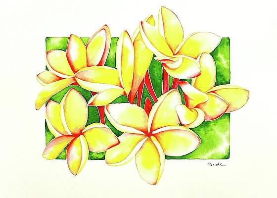 Vibrant Plumeria Flowers Painting