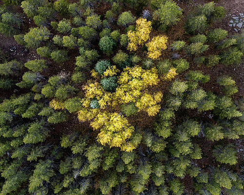 Mountain Photograph - Yellow Spot by Matt Halvorson