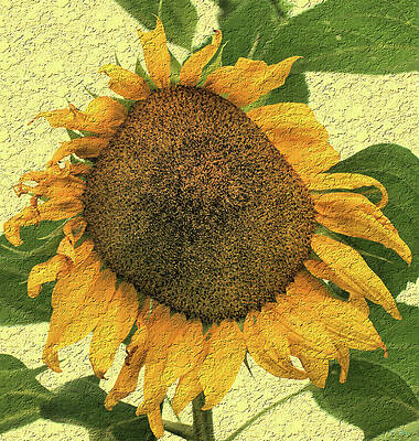 Painting - Yellow Sunflower 01 by Flees Photos