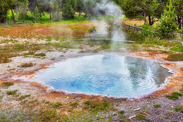 Wall Art featuring the photograph Yellowstone Small Steamy Pool by Tatiana Travelways