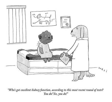 Dog Doctor Patient Cartoon Drawing