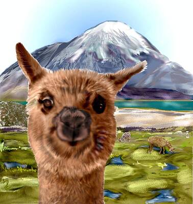 Mixed Media - Yogi by Pamela Calhoun