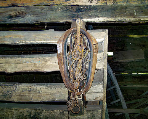 Wall Art featuring the photograph Yoke Hanging In A Barn by Flees Photos