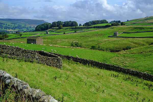 Rolling Hills and Stone Walls Photograph