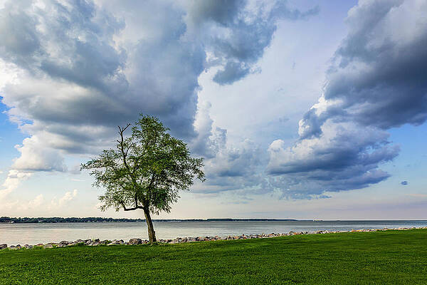 Virginia Photograph - Yorktown Front by David Fountain