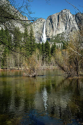 California Wall Art featuring the photograph Yosemite Falls River Reflection by Diane Moller
