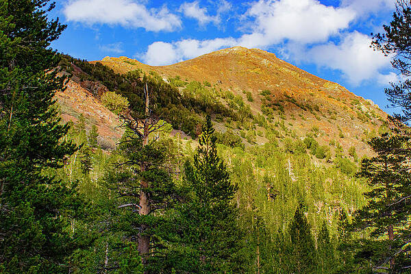 Mountain Photograph - Yosemite Peak Framed by David Fountain