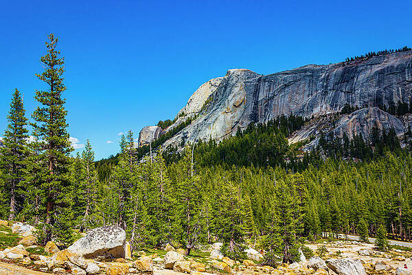 Mountain Photograph - Yosemite Rock Slope by David Fountain
