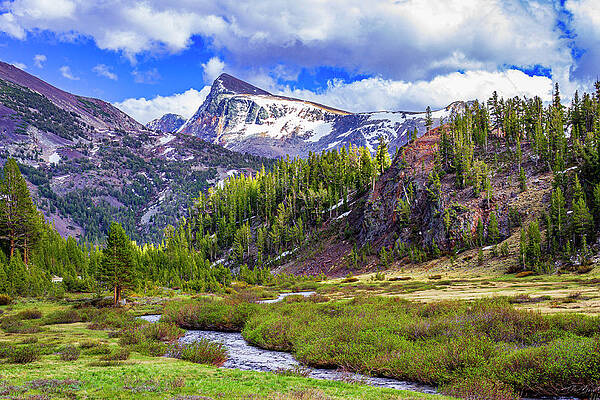 Mountain Photograph - Yosemite Scenery by David Fountain