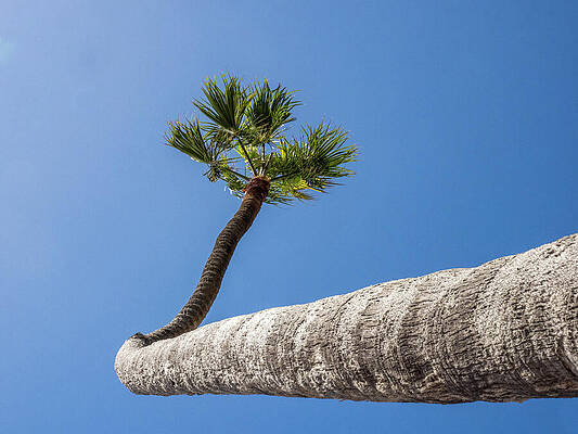 Wall Art featuring the photograph You Can Go Your Own Way by Joe Schofield