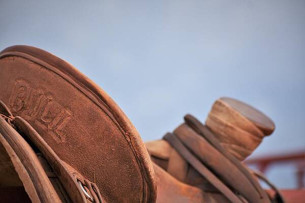 Cowboy Wall Art featuring the photograph You Know Whose by Alden White Ballard