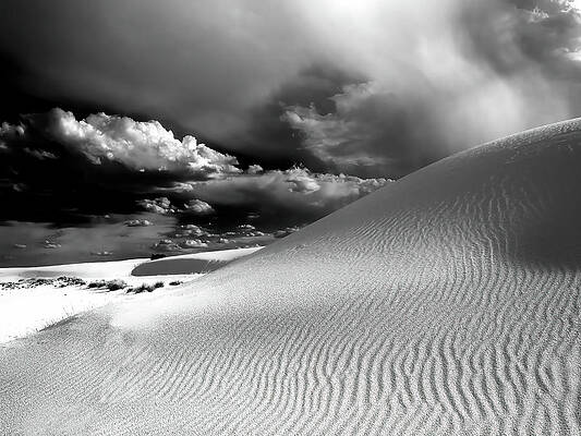 New Mexico Photograph - You'll Need An Umbrella by Joe Schofield