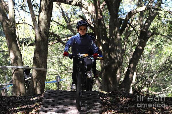 Young Cyclist on Forest Trail Wall Art