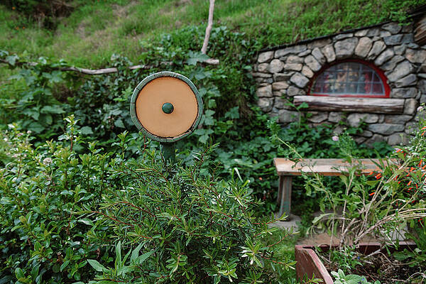 Greenery Photograph - You've Got Mail by Nova Rae