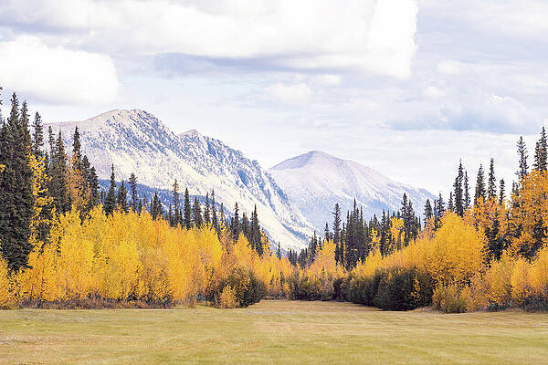 Yukon Mountains On A Golden Fall Day Print