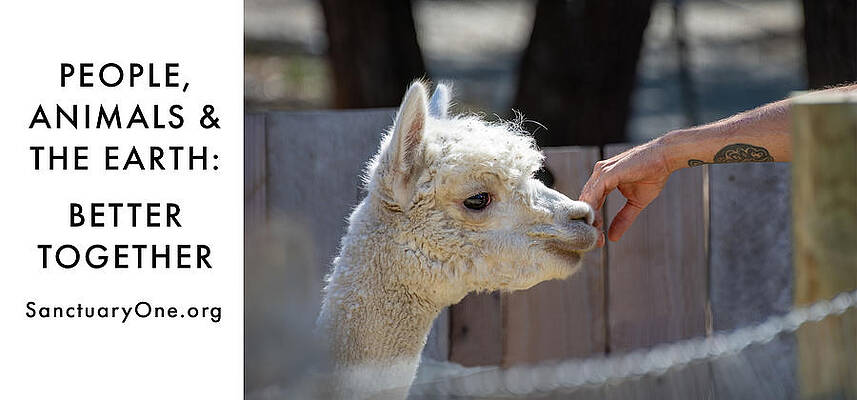 Oregon Photograph - Yukon Sanctuary One by Diane Moller