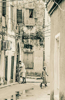 Tanzania Wall Art featuring the photograph Zanzibar Tanzania East Africa Travel Reportage 3618-300 by Neptune Images