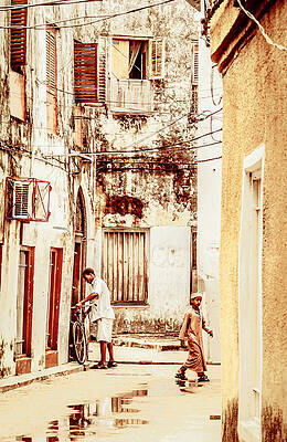 Tanzania Wall Art featuring the photograph Zanzibar Tanzania East Africa Travel Reportage 3618 by Neptune Images