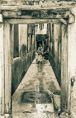 Tanzania Wall Art featuring the photograph Zanzibar Tanzania East Africa Travel Reportage 3665-300 by Neptune Images