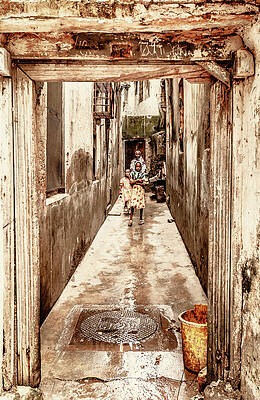 Tanzania Wall Art featuring the photograph Zanzibar Tanzania East Africa Travel Reportage 3665 by Neptune Images