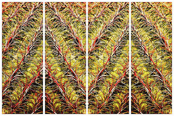 Arizona Photograph - Zig Zag Abstract by Tatiana Travelways