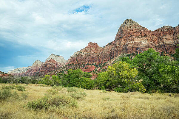 Utah Wall Art featuring the photograph Zion National Park-2 by Diane Moller