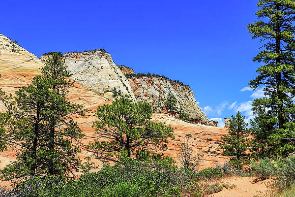 Utah Wall Art featuring the photograph Zion National Park Mountains 1 by Dawn Richards