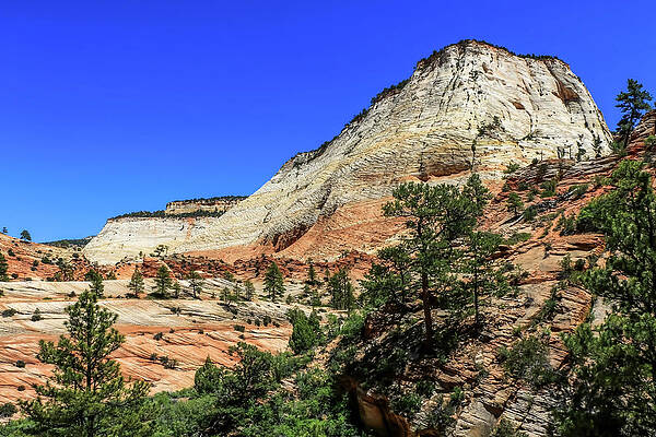 Utah Wall Art featuring the photograph Zion National Park Mountains 2 by Dawn Richards