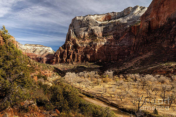 Desert Photograph - Zion NP - Zion Canyon And Virgin River by Craig A Walker