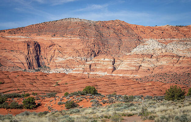 Landscape Photograph - Zion_0758 by Mark Triplett