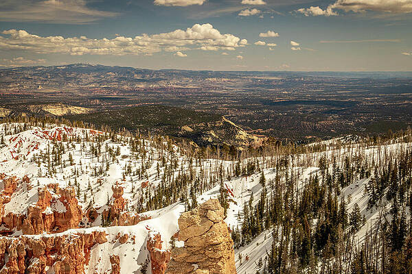 Landscape Photograph - Zion_0823 by Mark Triplett