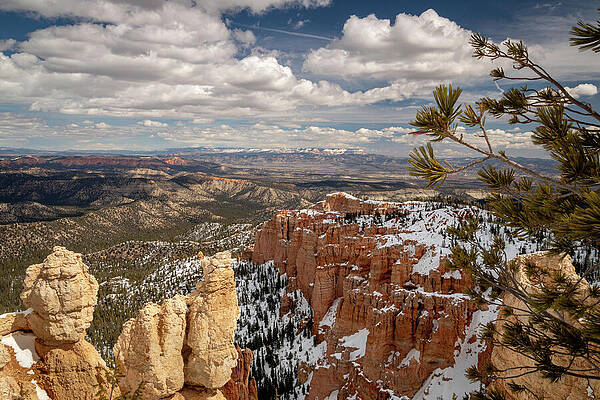 Landscape Photograph - Zion_0828 by Mark Triplett