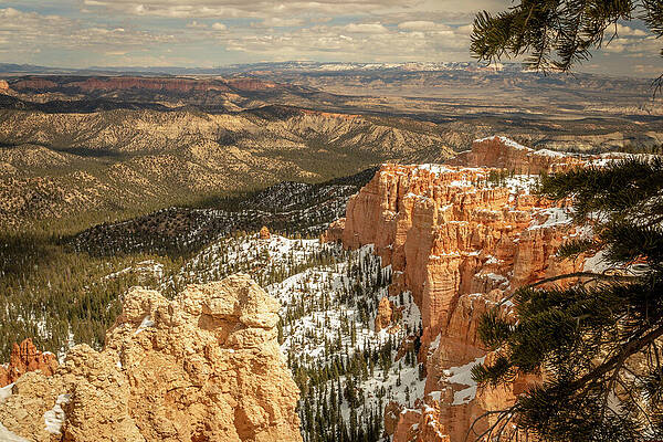 Landscape Photograph - Zion_0830 by Mark Triplett
