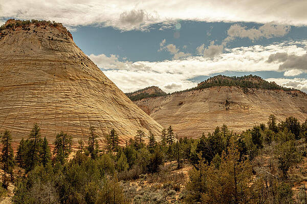Landscape Photograph - Zion_0849 by Mark Triplett