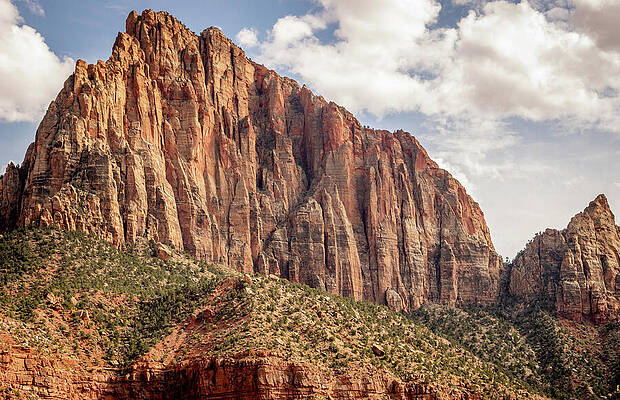 Landscape Photograph - Zion Watchman Mountain_0873 by Mark Triplett