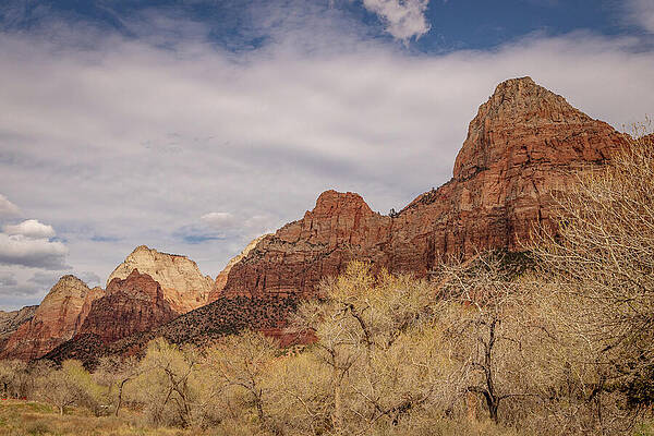 Landscape Photograph - Zion_0874 by Mark Triplett