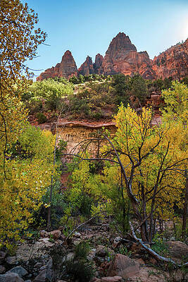 Tree Wall Art featuring the photograph Zion's Red Rock-2 by Diane Moller