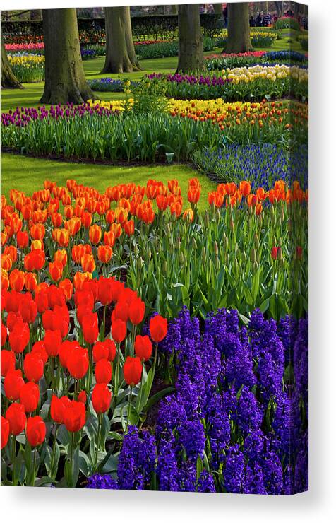 Keukenhof Gardens In Holland Canvas Print by Darrell Gulin