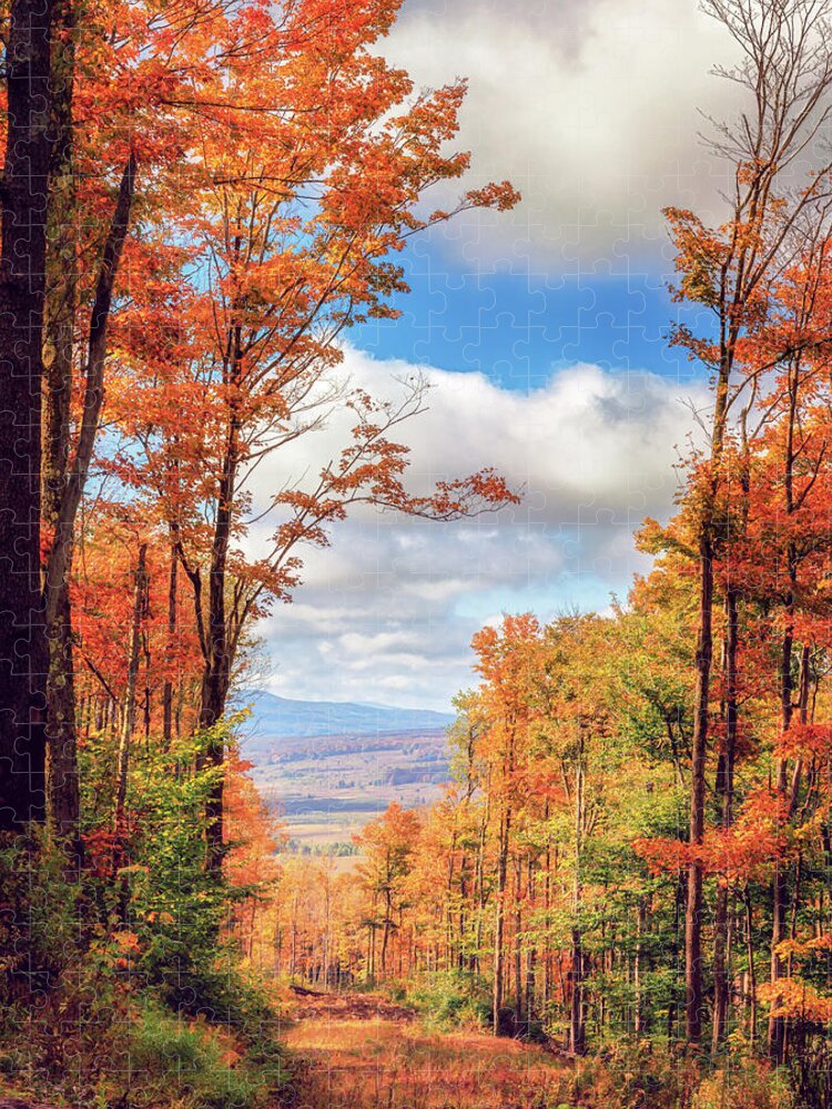 Autumn in the Land of Milk and Honey Jigsaw Puzzle by Susan Rissi