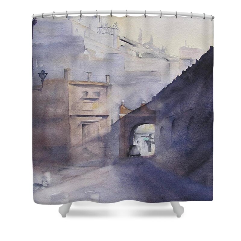 El Portal Shower Curtain